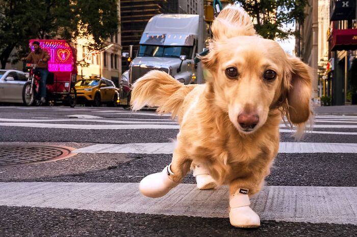 80 Street Photos By Dan Morris That Capture Cities From Perspectives Most People Miss