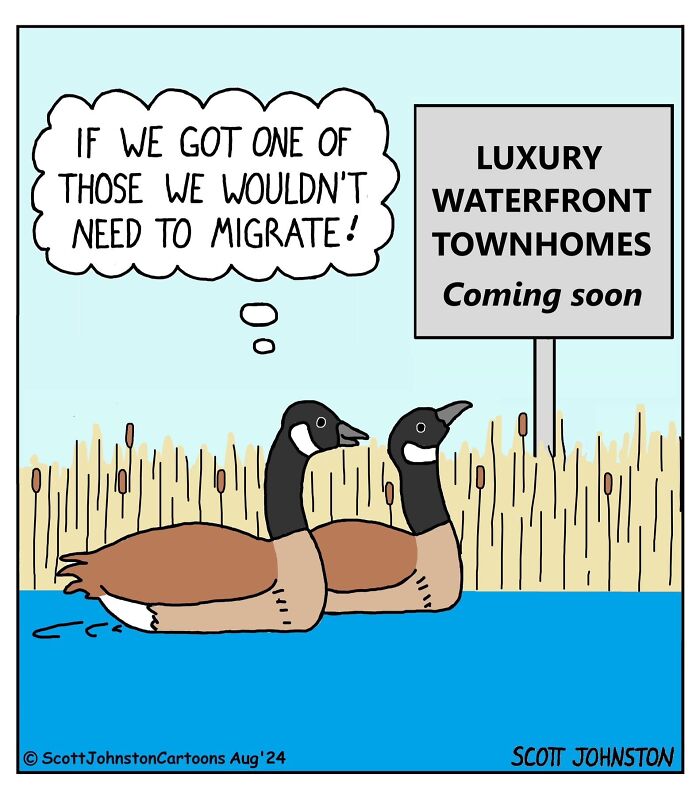 48 Funny One-Panel Comics By Canadian Cartoonist Scott Johnston (New Pics)