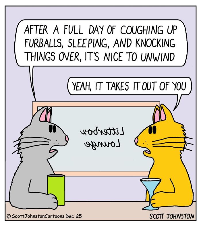 48 Funny One-Panel Comics By Canadian Cartoonist Scott Johnston (New Pics)