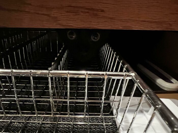 54 Extraordinary Details Hiding In Plain Sight In These Seemingly Ordinary Photos