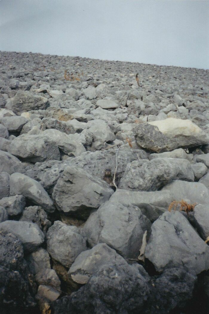 54 Extraordinary Details Hiding In Plain Sight In These Seemingly Ordinary Photos