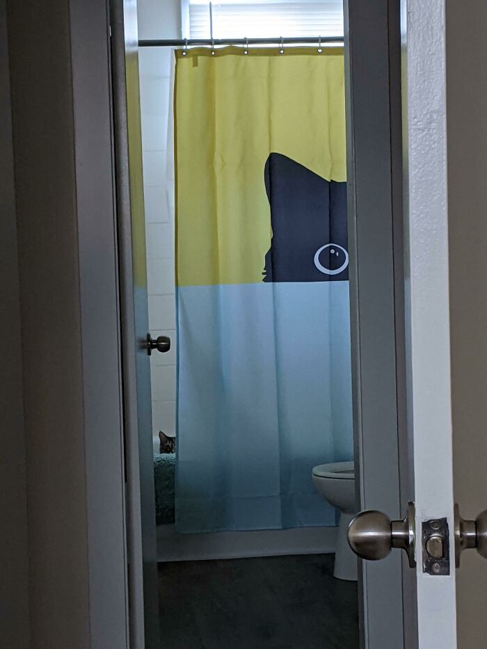 54 Extraordinary Details Hiding In Plain Sight In These Seemingly Ordinary Photos