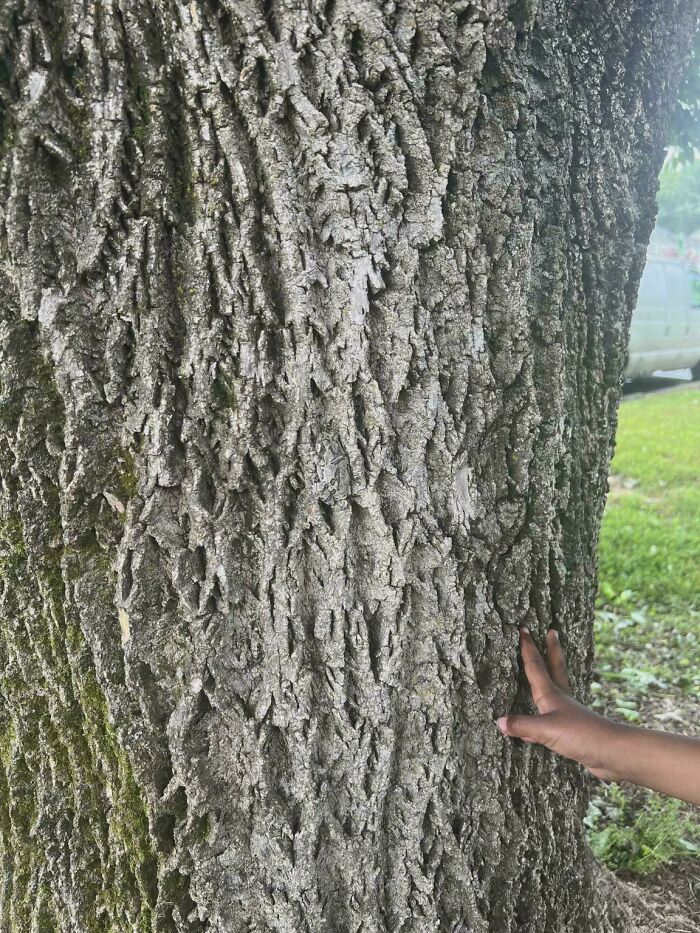 54 Extraordinary Details Hiding In Plain Sight In These Seemingly Ordinary Photos