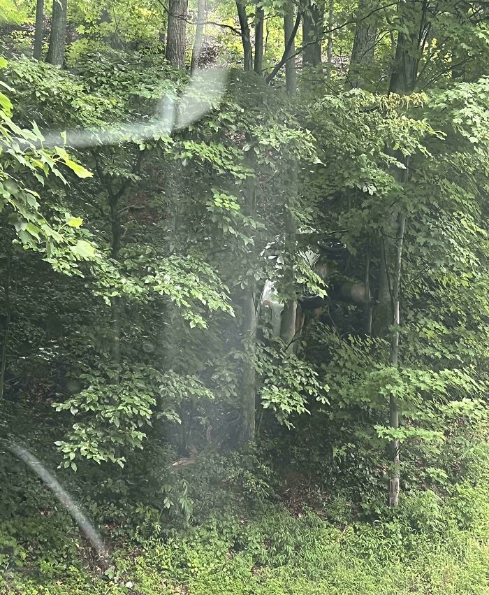54 Extraordinary Details Hiding In Plain Sight In These Seemingly Ordinary Photos