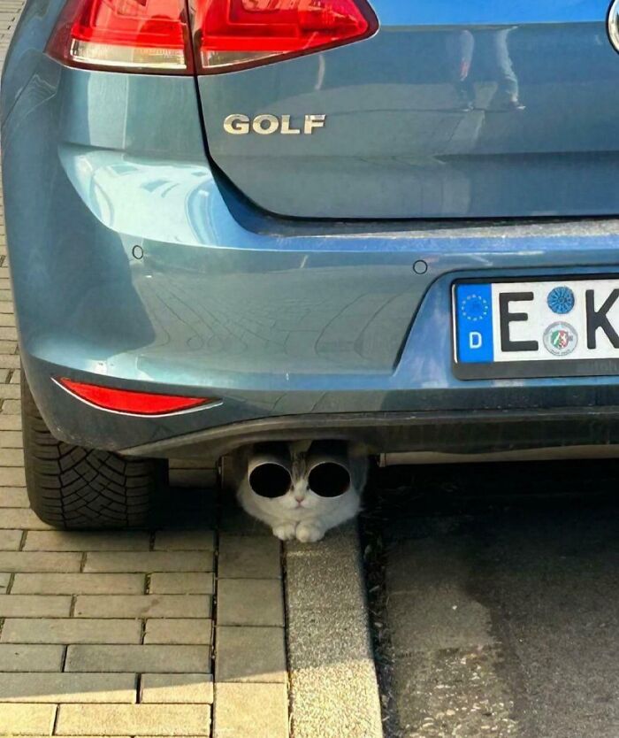 54 Extraordinary Details Hiding In Plain Sight In These Seemingly Ordinary Photos