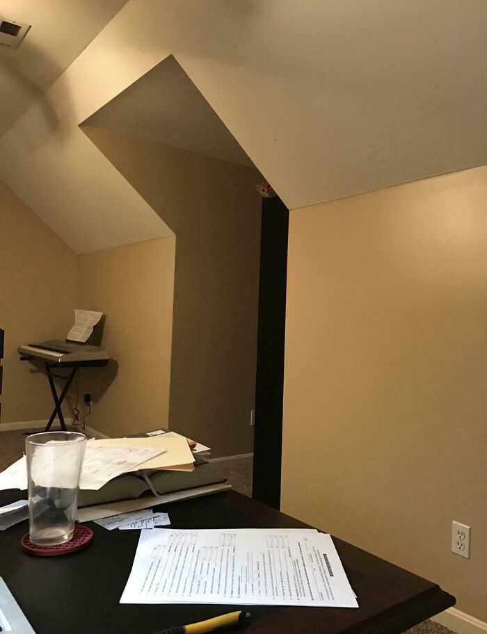 54 Extraordinary Details Hiding In Plain Sight In These Seemingly Ordinary Photos