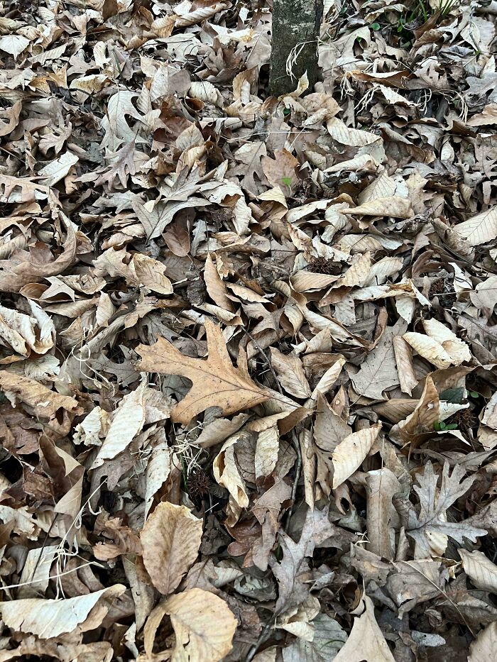54 Extraordinary Details Hiding In Plain Sight In These Seemingly Ordinary Photos
