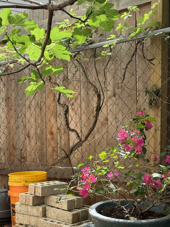54 Extraordinary Details Hiding In Plain Sight In These Seemingly Ordinary Photos