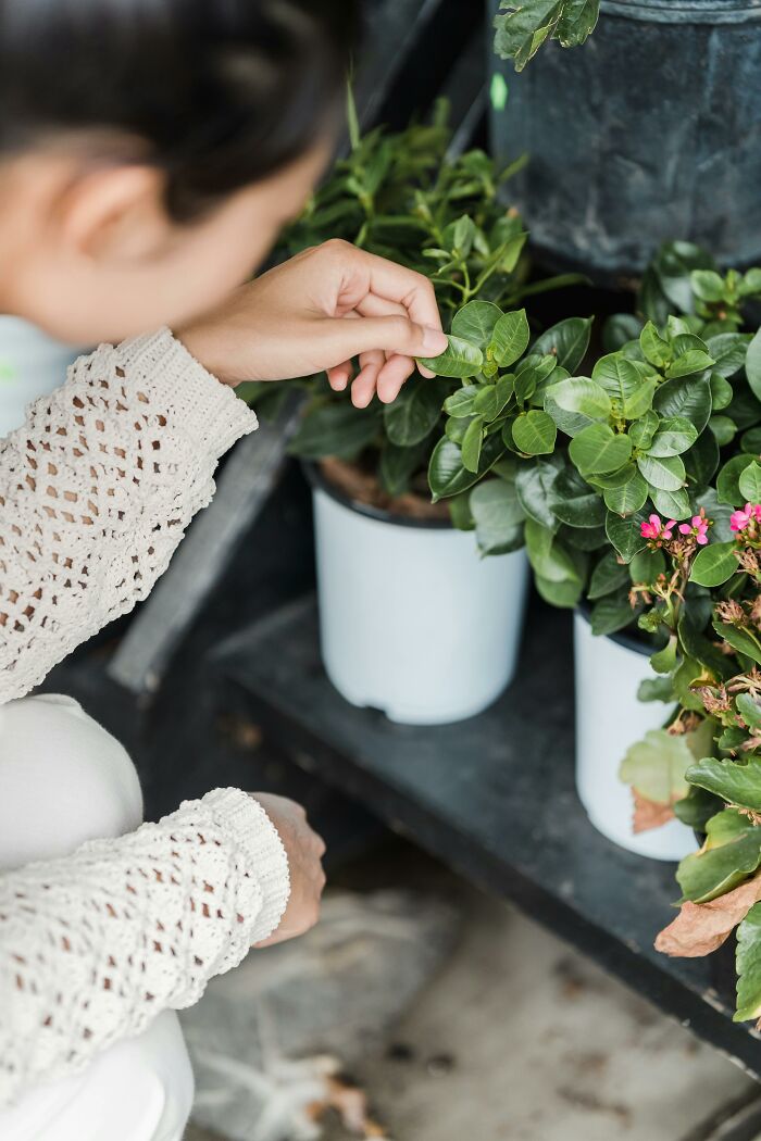 &ldquo;I Own Both A Teapot And A Tea Cosy&rdquo;: 60 Funny Ways To Tell That Someone Is British