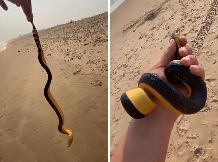 64 Risky Situations That Made People Question How These Folks Have Survived This Long