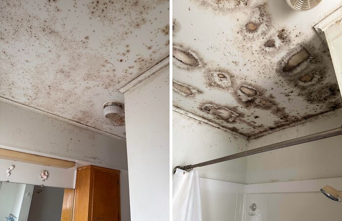 64 Risky Situations That Made People Question How These Folks Have Survived This Long