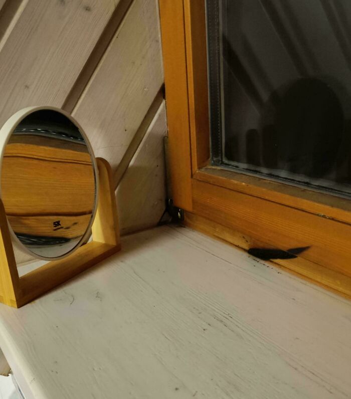 64 Risky Situations That Made People Question How These Folks Have Survived This Long