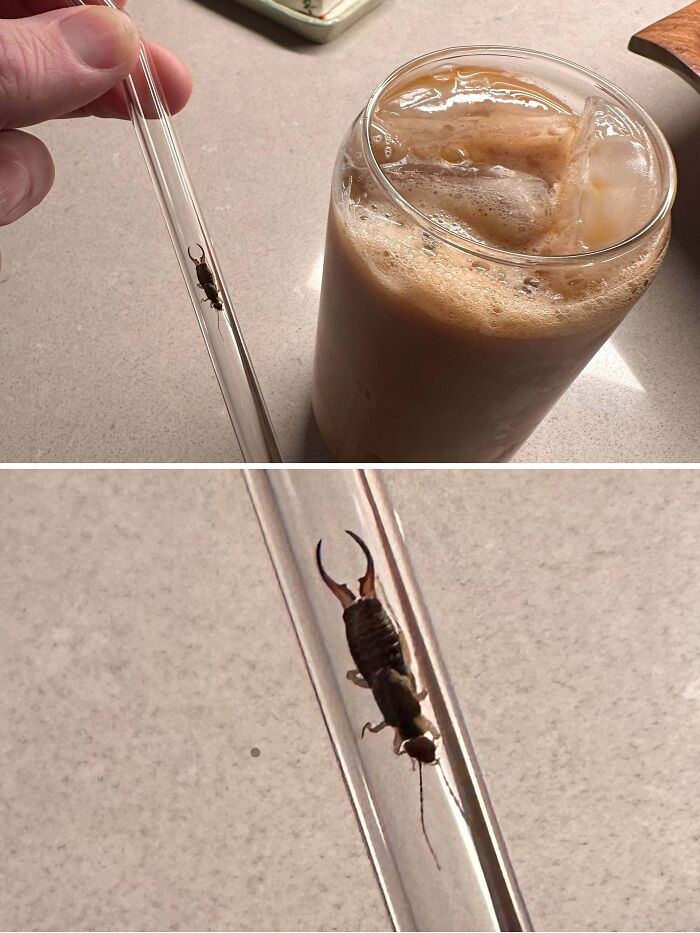 64 Risky Situations That Made People Question How These Folks Have Survived This Long