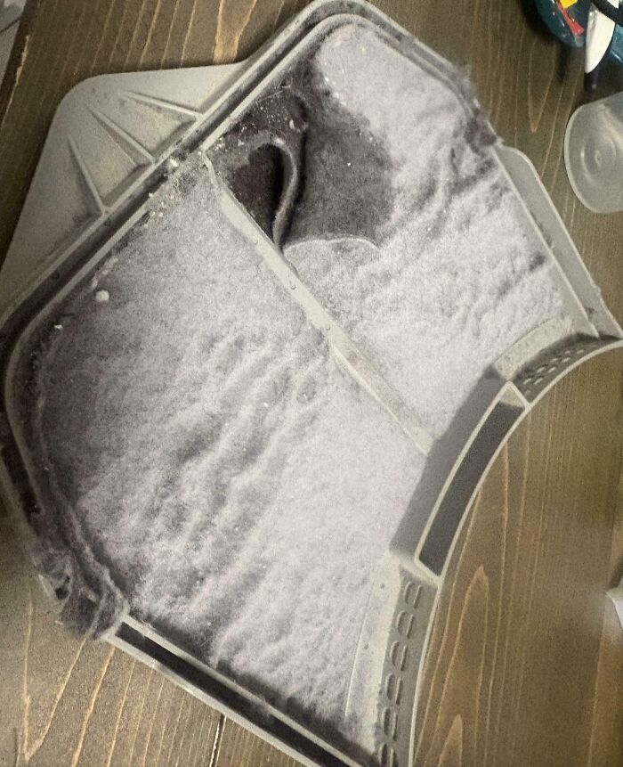 64 Risky Situations That Made People Question How These Folks Have Survived This Long