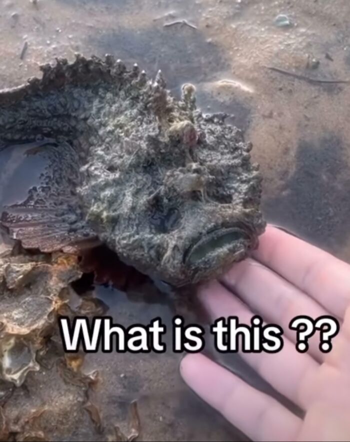 64 Risky Situations That Made People Question How These Folks Have Survived This Long