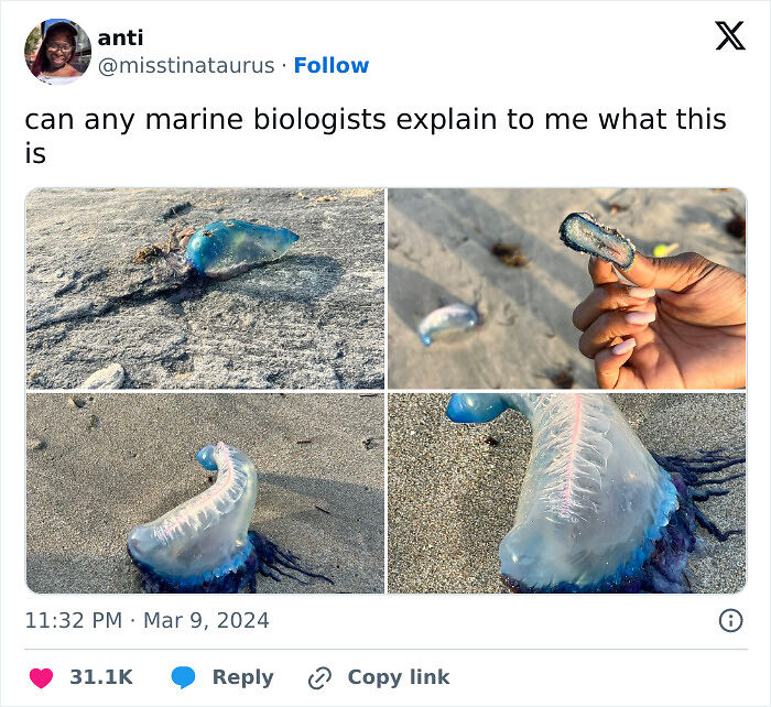 64 Risky Situations That Made People Question How These Folks Have Survived This Long