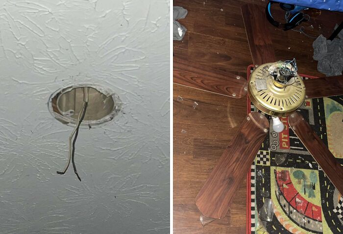 64 Risky Situations That Made People Question How These Folks Have Survived This Long