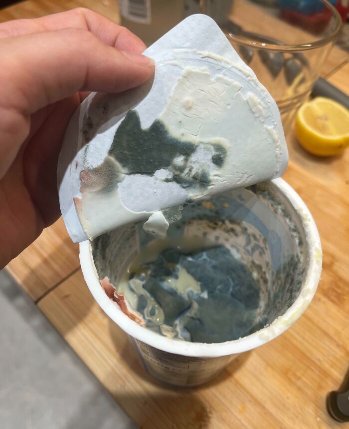 64 Risky Situations That Made People Question How These Folks Have Survived This Long