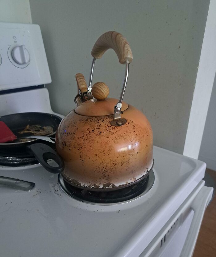 64 Risky Situations That Made People Question How These Folks Have Survived This Long