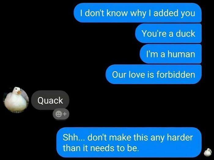 59 Screenshots So Bizarre And Funny, They Deserve Their Own Hall Of Fame (New Pics)