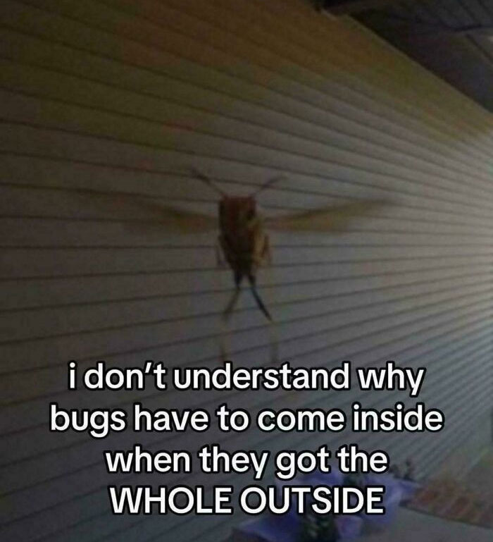 59 Screenshots So Bizarre And Funny, They Deserve Their Own Hall Of Fame (New Pics)