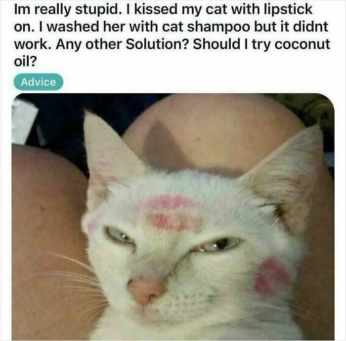 59 Screenshots So Bizarre And Funny, They Deserve Their Own Hall Of Fame (New Pics)