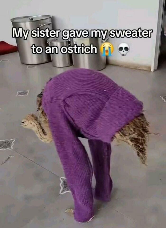 59 Screenshots So Bizarre And Funny, They Deserve Their Own Hall Of Fame (New Pics)