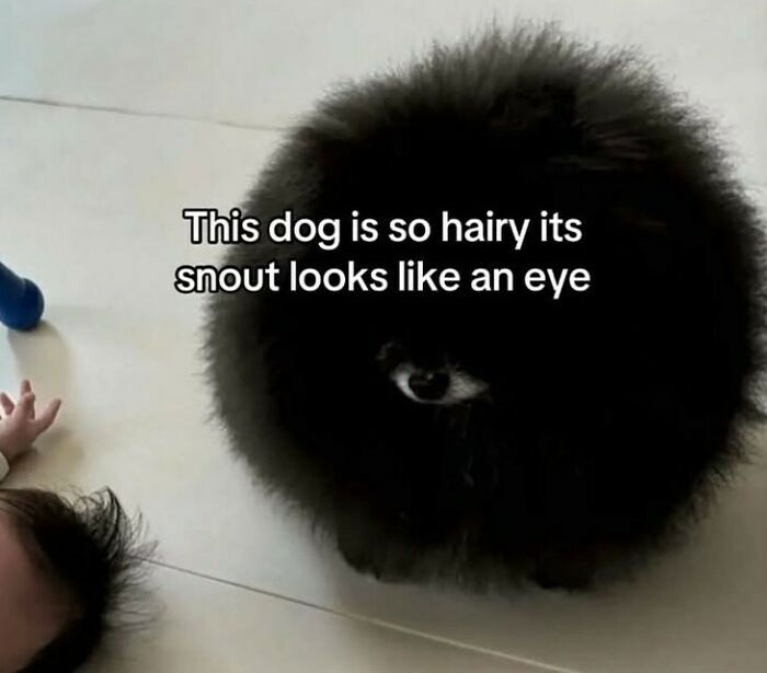 59 Screenshots So Bizarre And Funny, They Deserve Their Own Hall Of Fame (New Pics)