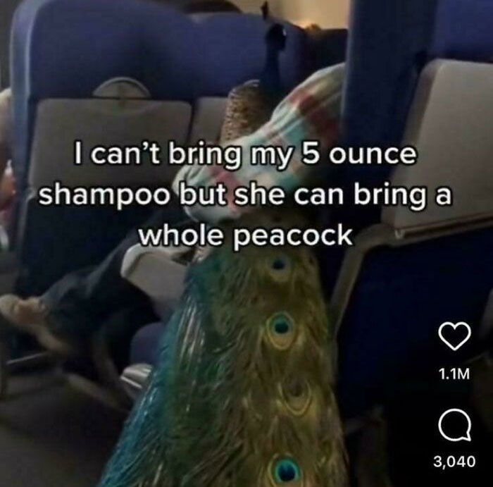 59 Screenshots So Bizarre And Funny, They Deserve Their Own Hall Of Fame (New Pics)