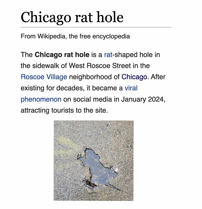 82 Wikipedia Pages That Made People Go “Hmmmm”