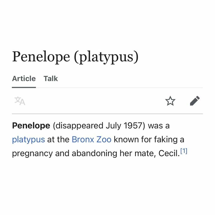 82 Wikipedia Pages That Made People Go “Hmmmm”