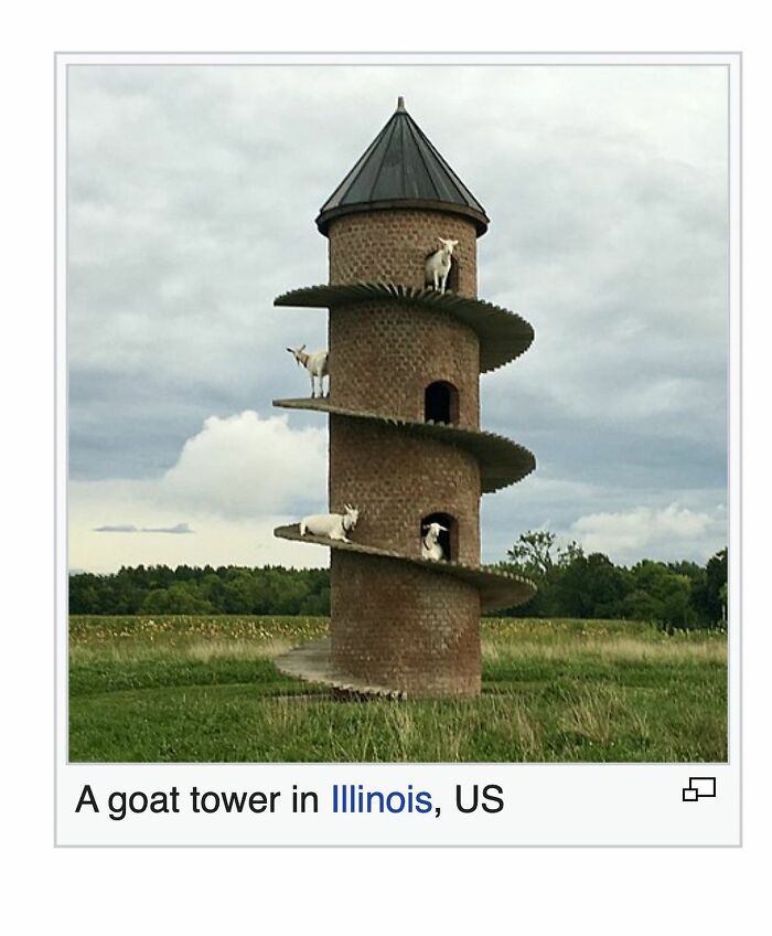 82 Wikipedia Pages That Made People Go “Hmmmm”
