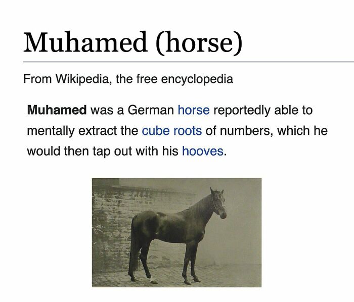 82 Wikipedia Pages That Made People Go “Hmmmm”