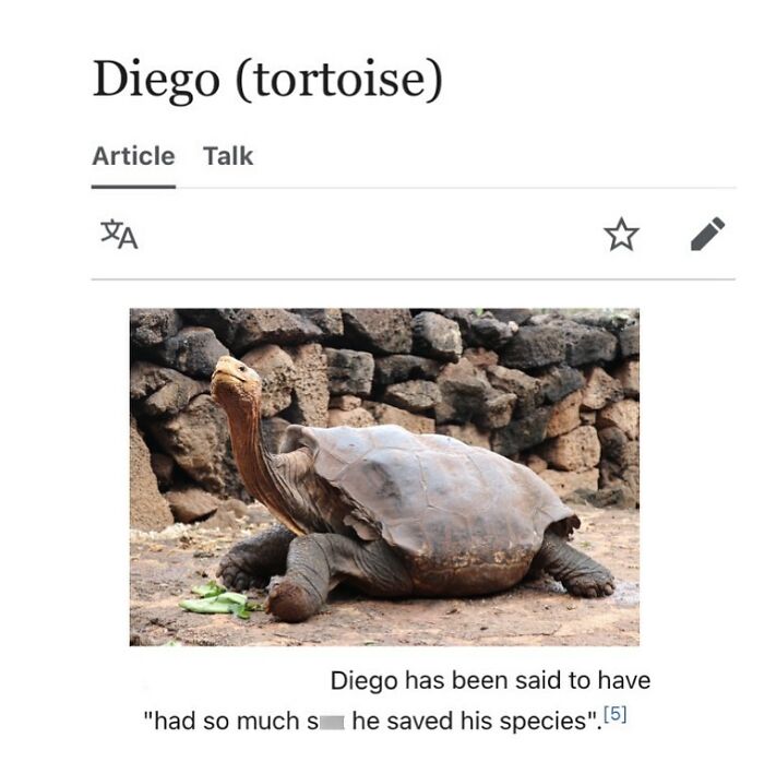 82 Wikipedia Pages That Made People Go “Hmmmm”