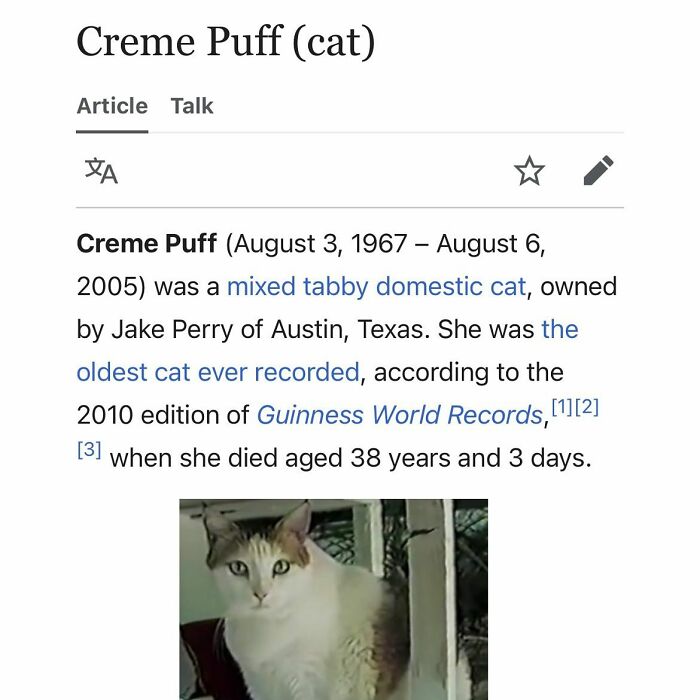 82 Wikipedia Pages That Made People Go “Hmmmm”