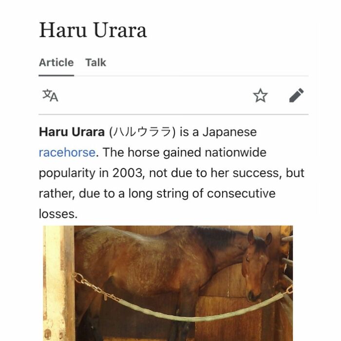 82 Wikipedia Pages That Made People Go “Hmmmm”