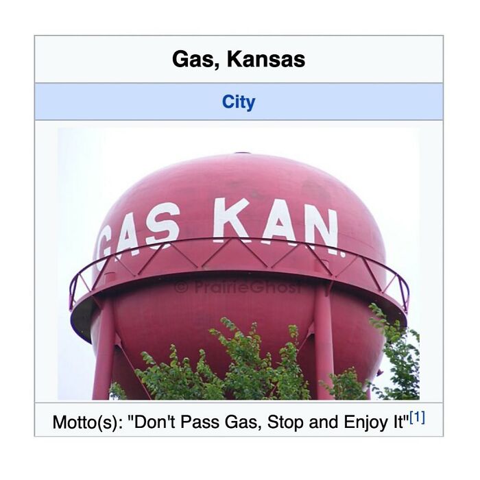 82 Wikipedia Pages That Made People Go “Hmmmm”