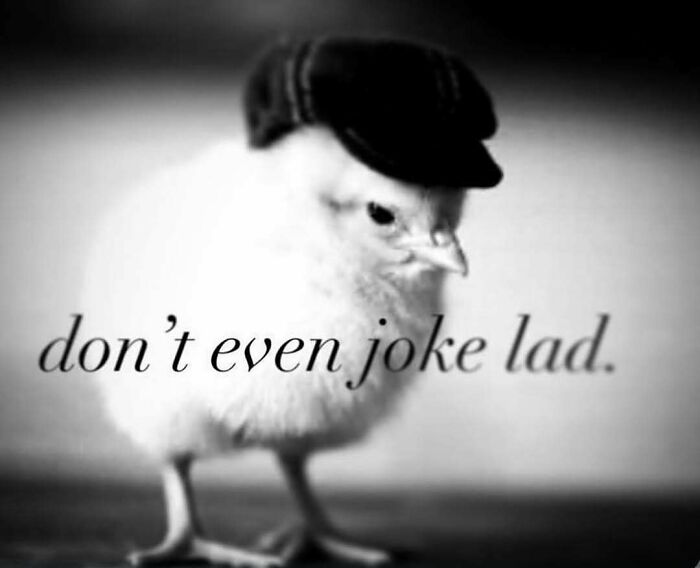 Thousands Of People Love This Page&rsquo;s Random Sense Of Humor, Here Are 99 Of Its Best Posts