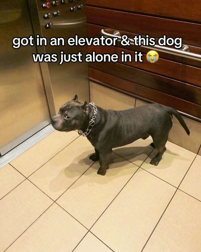Thousands Of People Love This Page&rsquo;s Random Sense Of Humor, Here Are 99 Of Its Best Posts