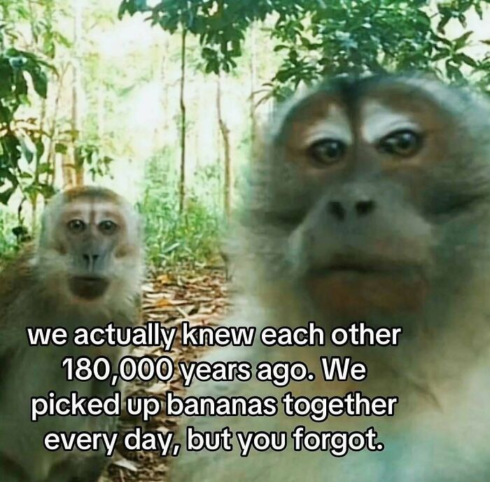 Thousands Of People Love This Page&rsquo;s Random Sense Of Humor, Here Are 99 Of Its Best Posts