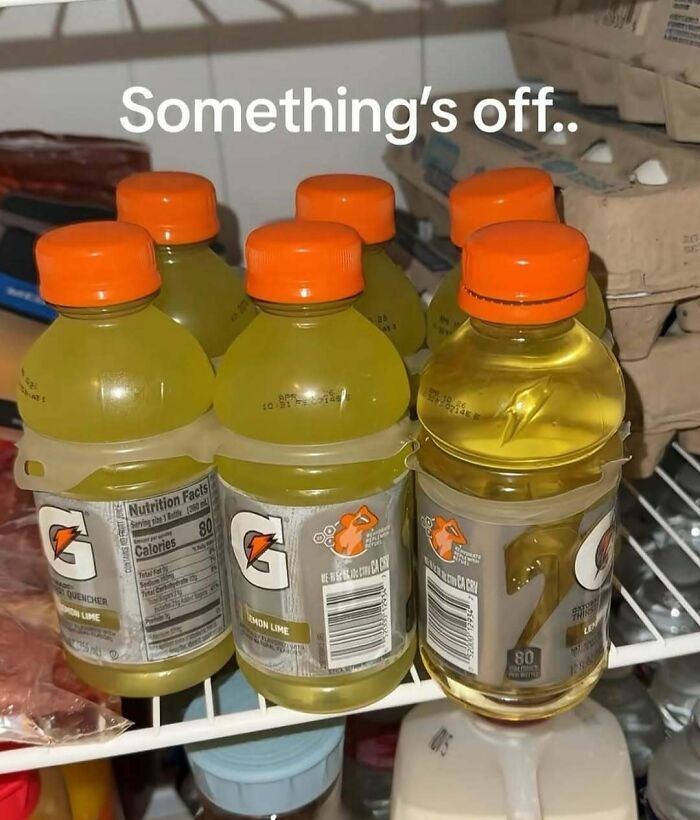 Thousands Of People Love This Page&rsquo;s Random Sense Of Humor, Here Are 99 Of Its Best Posts