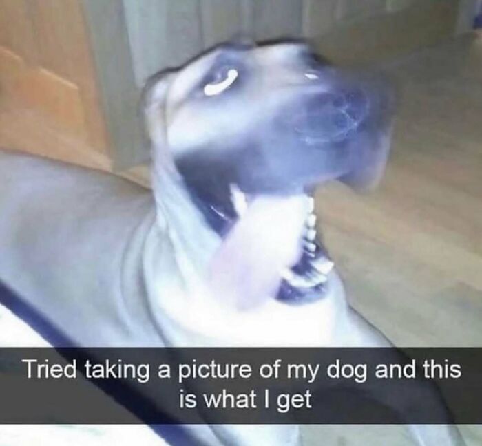 Thousands Of People Love This Page&rsquo;s Random Sense Of Humor, Here Are 99 Of Its Best Posts