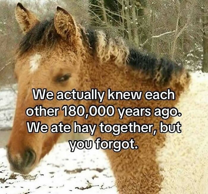 Thousands Of People Love This Page&rsquo;s Random Sense Of Humor, Here Are 99 Of Its Best Posts