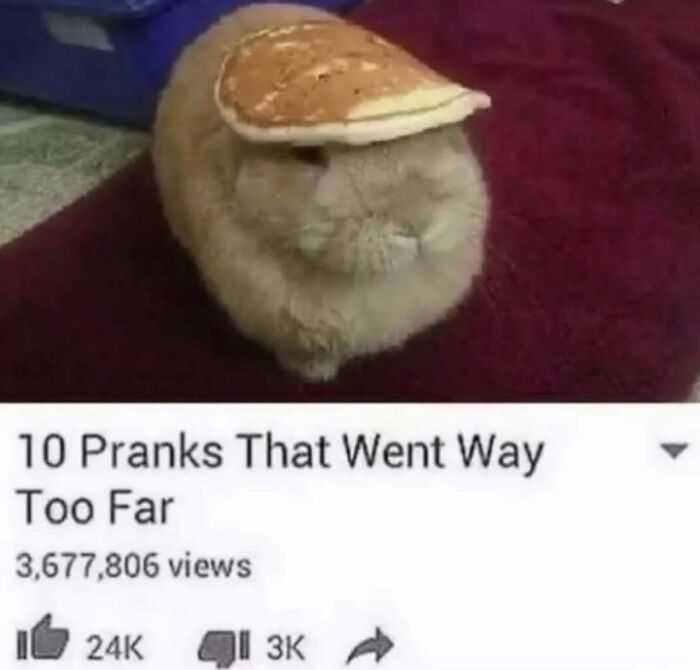 Thousands Of People Love This Page&rsquo;s Random Sense Of Humor, Here Are 99 Of Its Best Posts