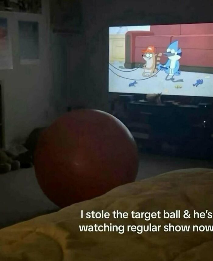 Thousands Of People Love This Page&rsquo;s Random Sense Of Humor, Here Are 99 Of Its Best Posts