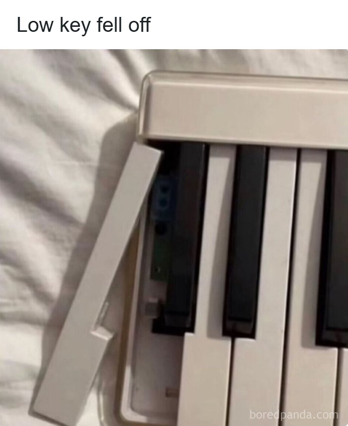 Thousands Of People Love This Page&rsquo;s Random Sense Of Humor, Here Are 99 Of Its Best Posts