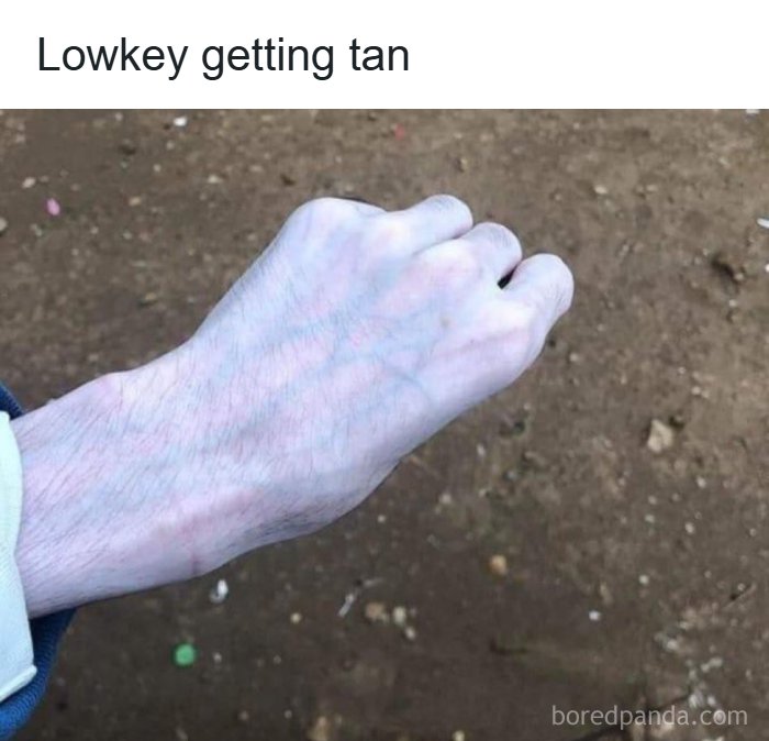 Thousands Of People Love This Page&rsquo;s Random Sense Of Humor, Here Are 99 Of Its Best Posts