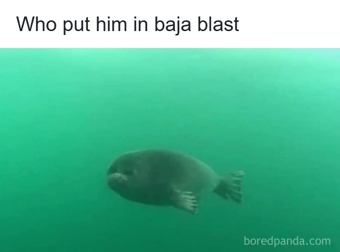 Thousands Of People Love This Page&rsquo;s Random Sense Of Humor, Here Are 99 Of Its Best Posts