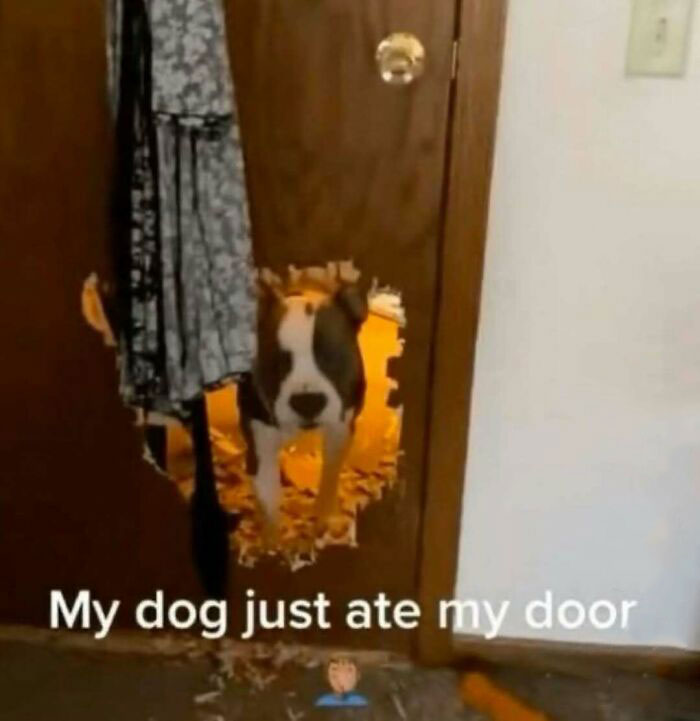 Thousands Of People Love This Page&rsquo;s Random Sense Of Humor, Here Are 99 Of Its Best Posts