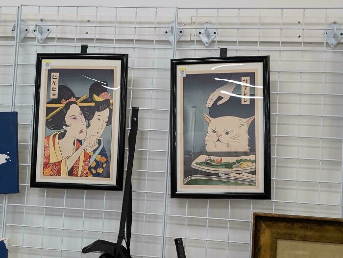 55 Funny, Bizarre And Actually Amazing Goodwill Finds That Prove Thrifting Is Never Boring (New Pics)